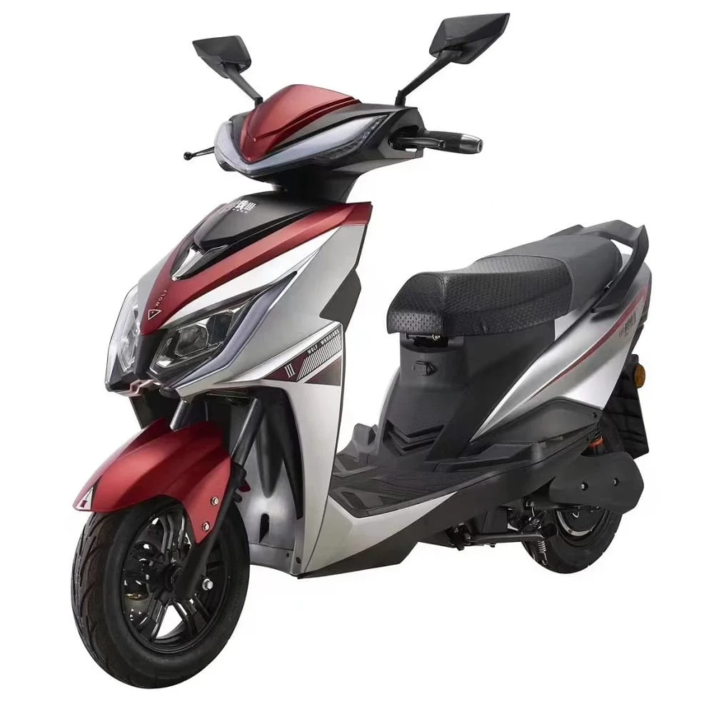 SKYRODER Double Light Electric Scooter